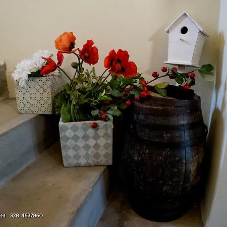 Nocleg ze śniadaniem Il Bosso Di Toscana